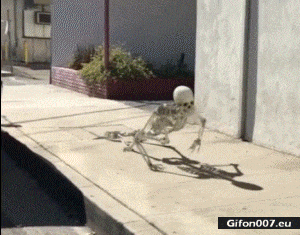 Funny-Video-Skeleton-Crawl-Monday-Gif.gi