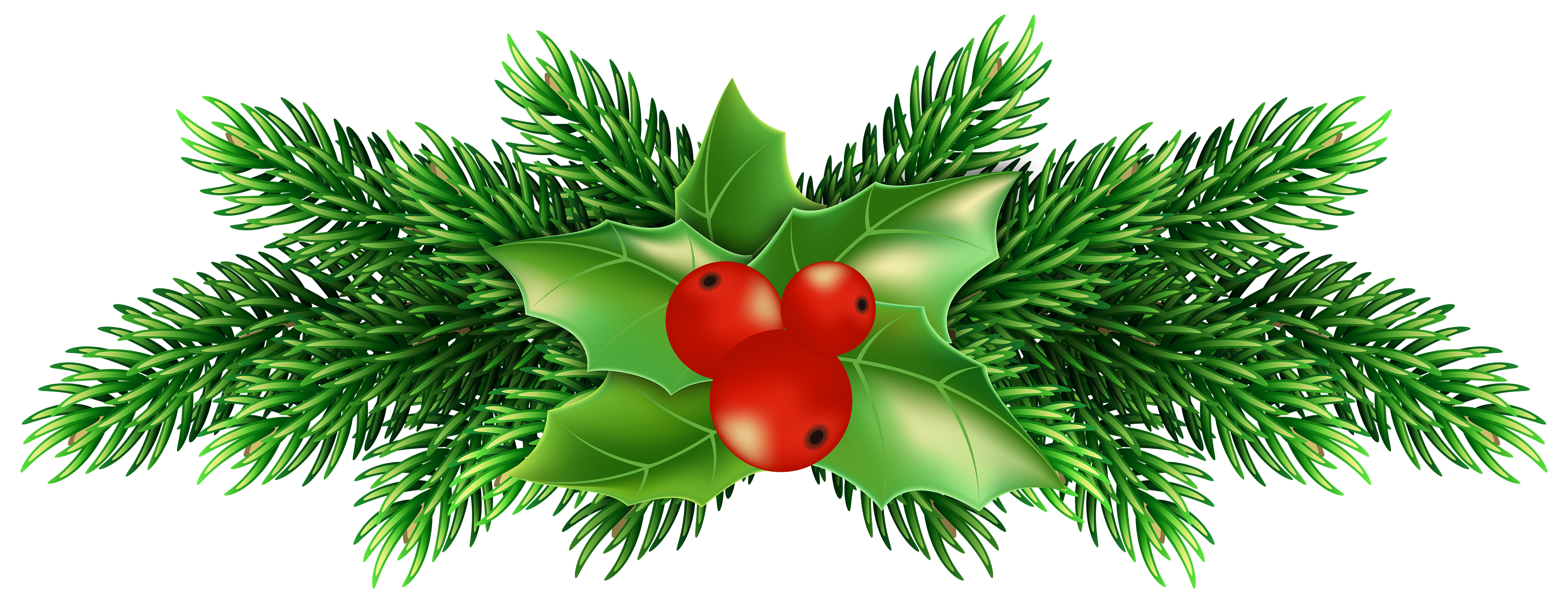 Christmas_Holly_Pine_PNG_Clip_Art_Image.png