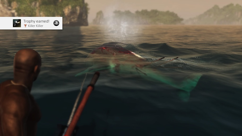 Assassins%20Creedreg%20Freedom%20Cry_201