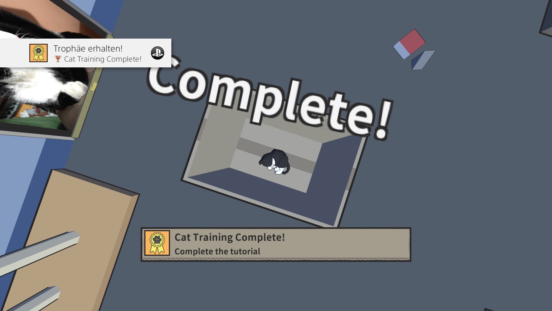 Catlateral%20Damage_20200111233850.jpg