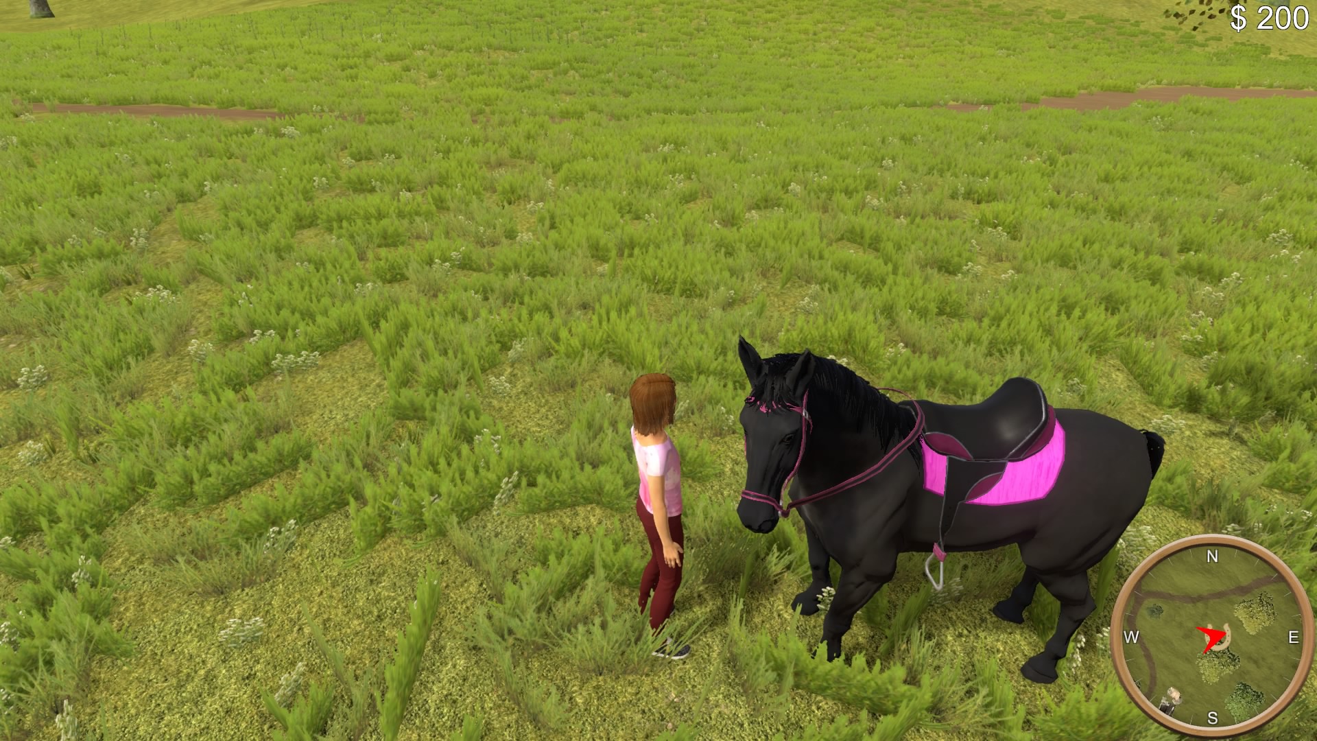 The%20Unicorn%20Princess_20201211214342.