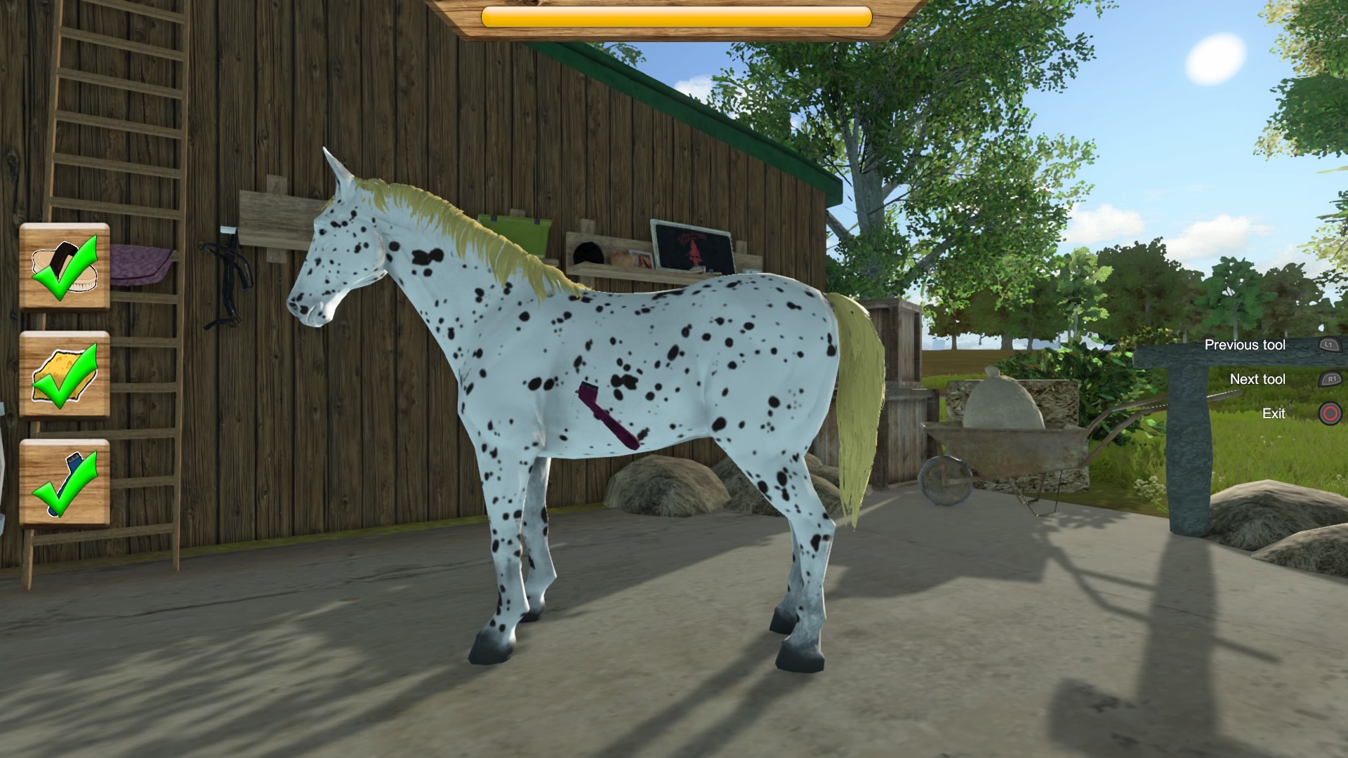 My%20Little%20Riding%20Champion_20210320