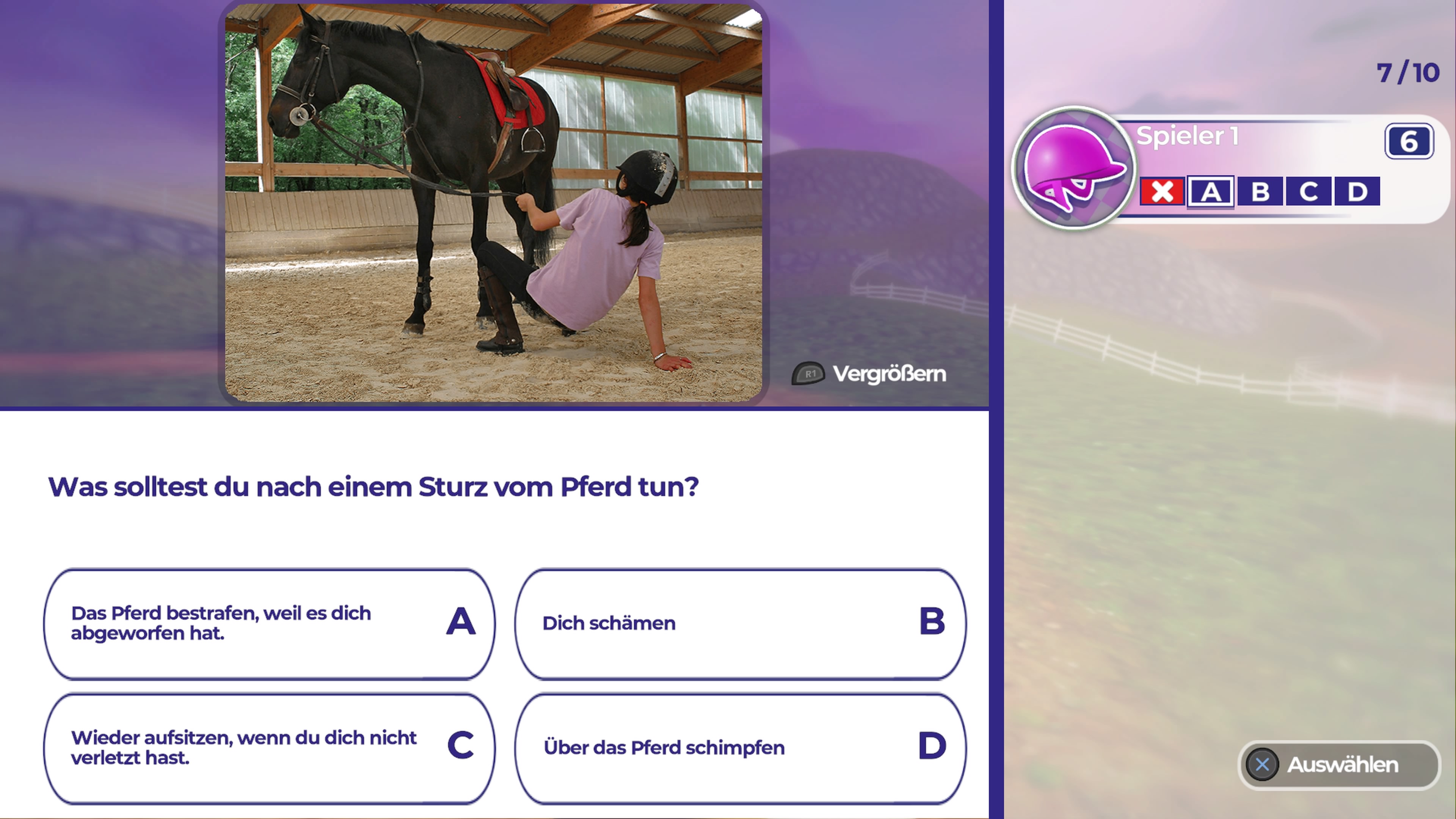 Dein%20erstes%20Pferd_%20Die%20Reitschul