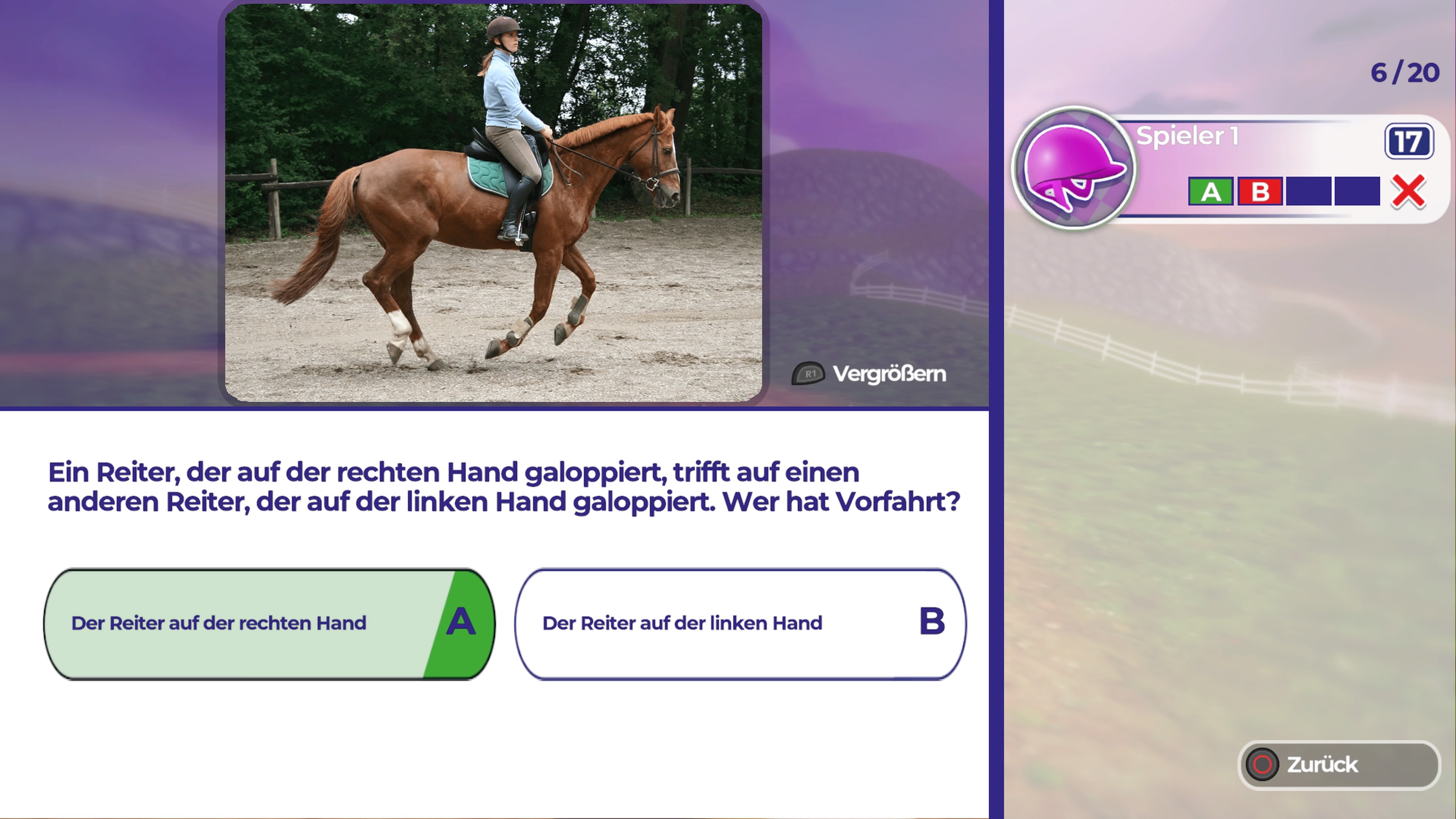 Dein%20erstes%20Pferd_%20Die%20Reitschul