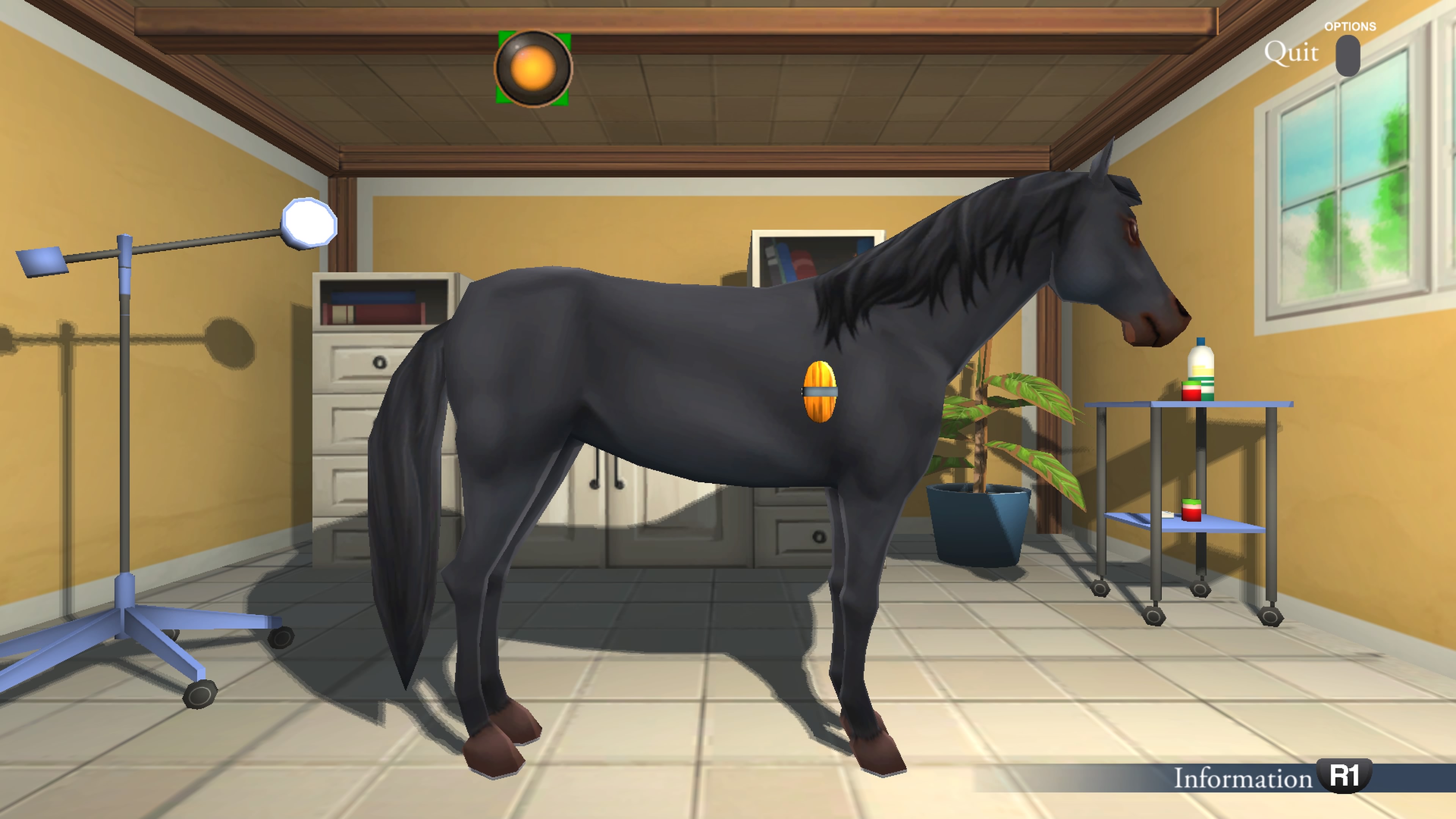 My%20Riding%20Stables%20-%20Life%20with%