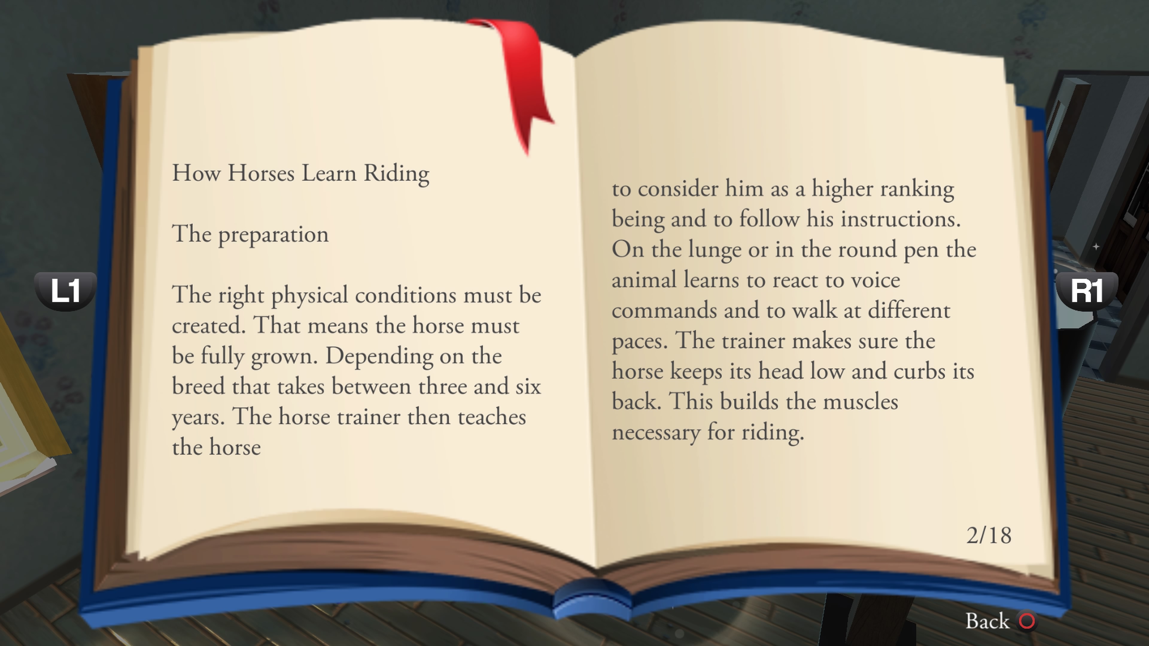 My%20Riding%20Stables%20-%20Life%20with%