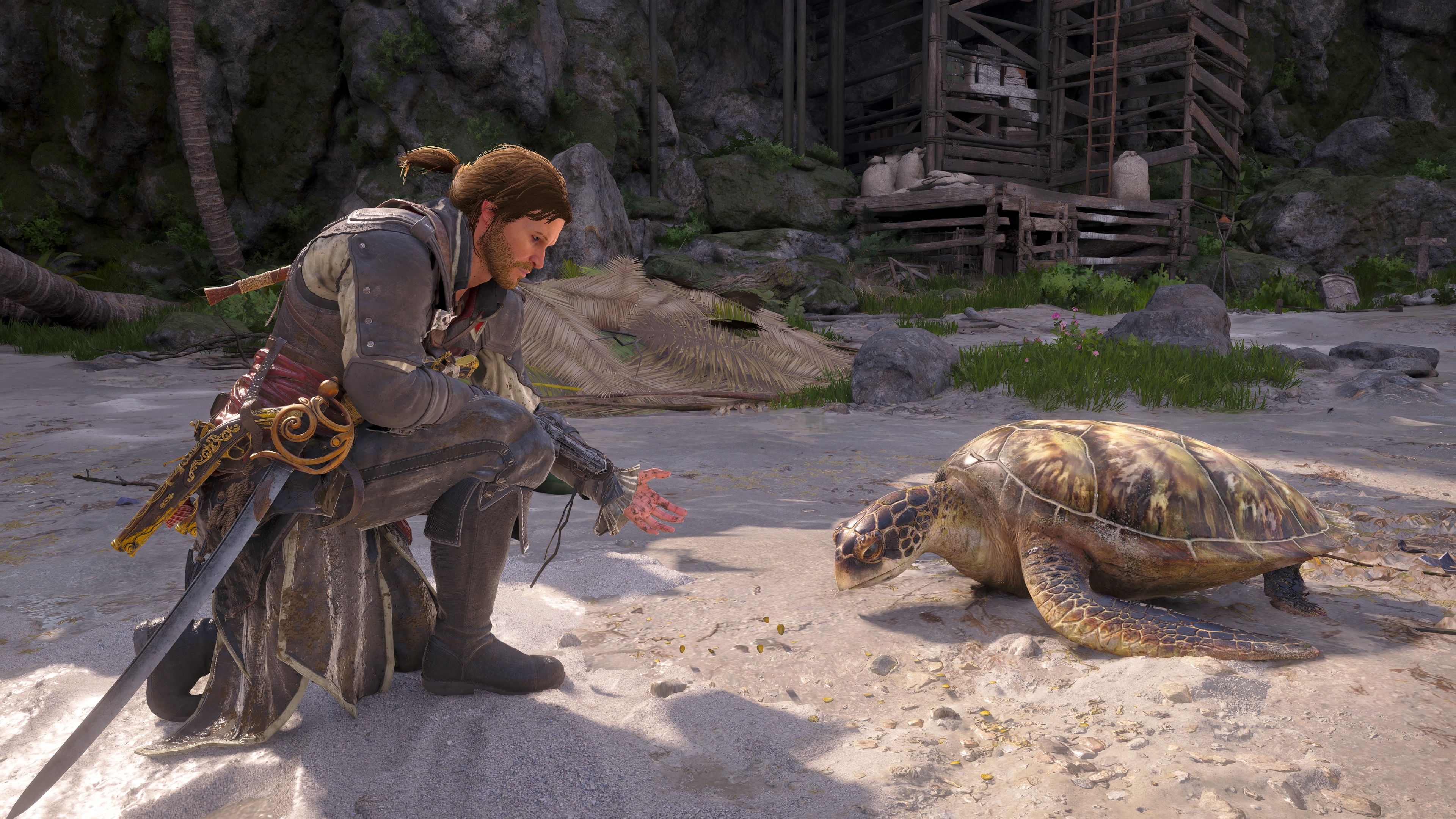Assassin's%20Creed%E2%84%A2%20Black%20Fl