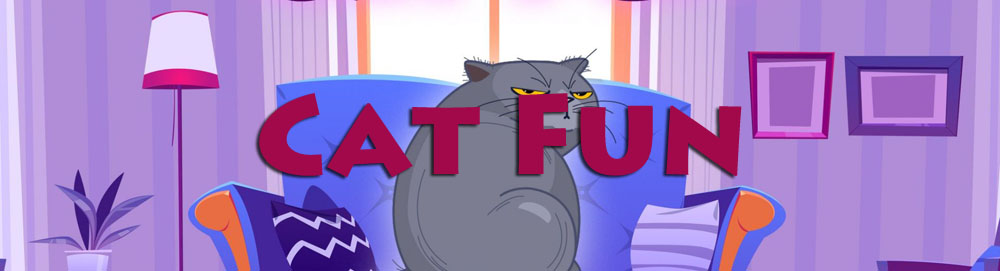catfun.jpg