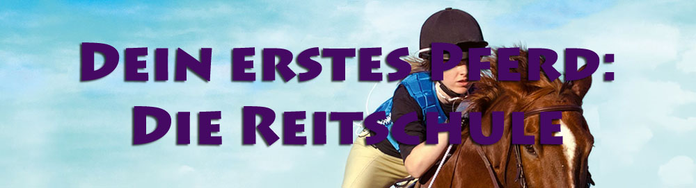 deinerstespferddiereitschule.jpg