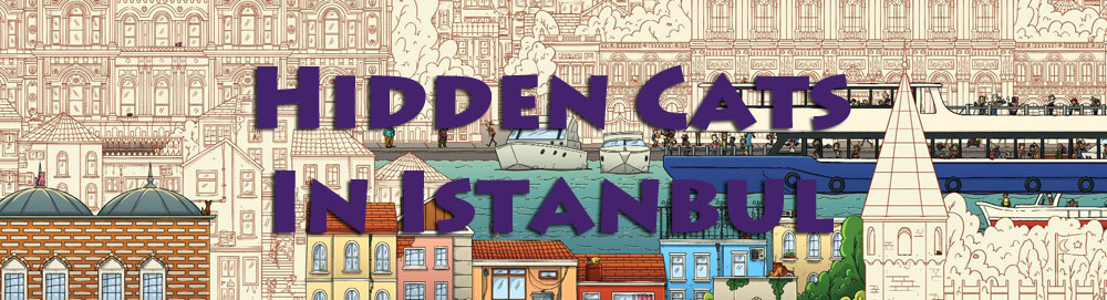 hiddencatsinistanbul.jpg