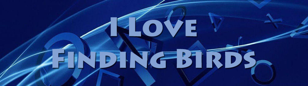 ilovefindingbirds.jpg