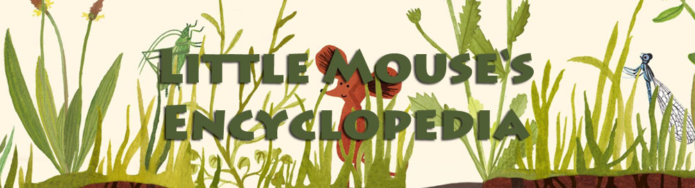 littlemousesencyclopedia.jpg