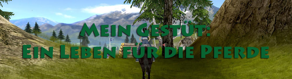 meingestueteinlebenfuerdiepferde.jpg