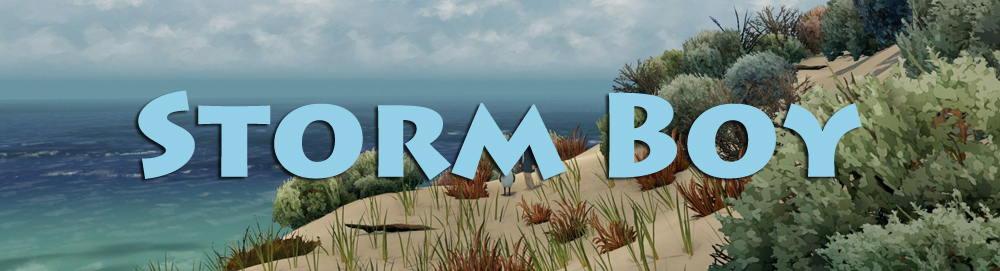 stormboy.jpg