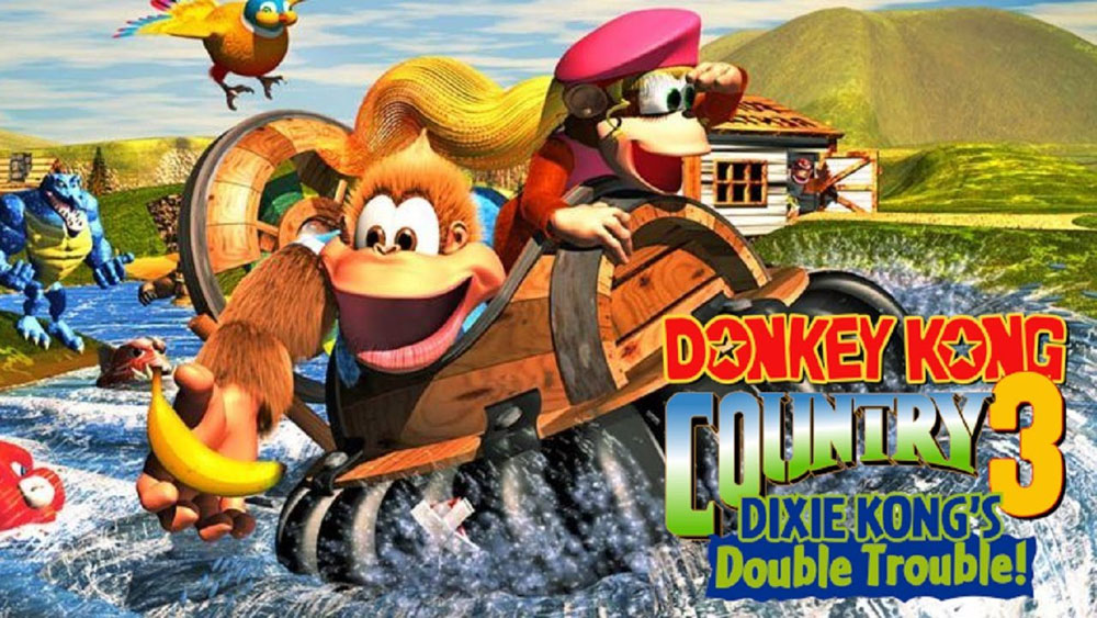 switch_donkeykongcountry3.jpg