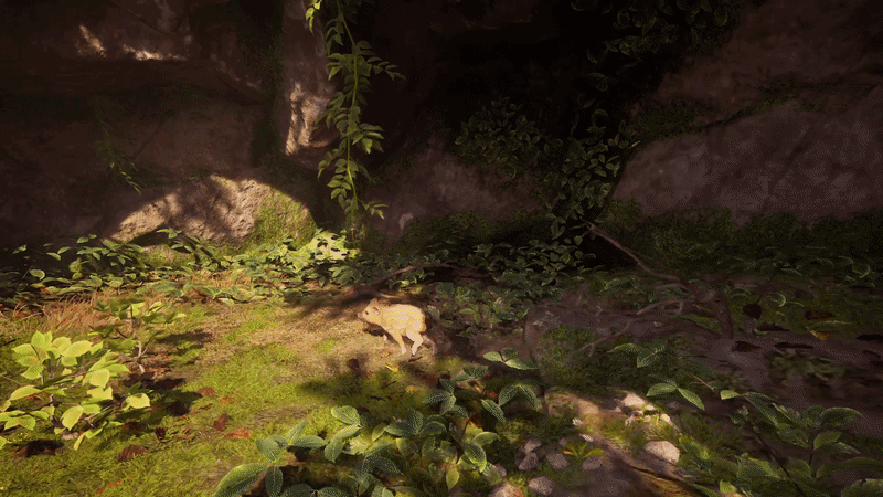 AA_leafpile.gif