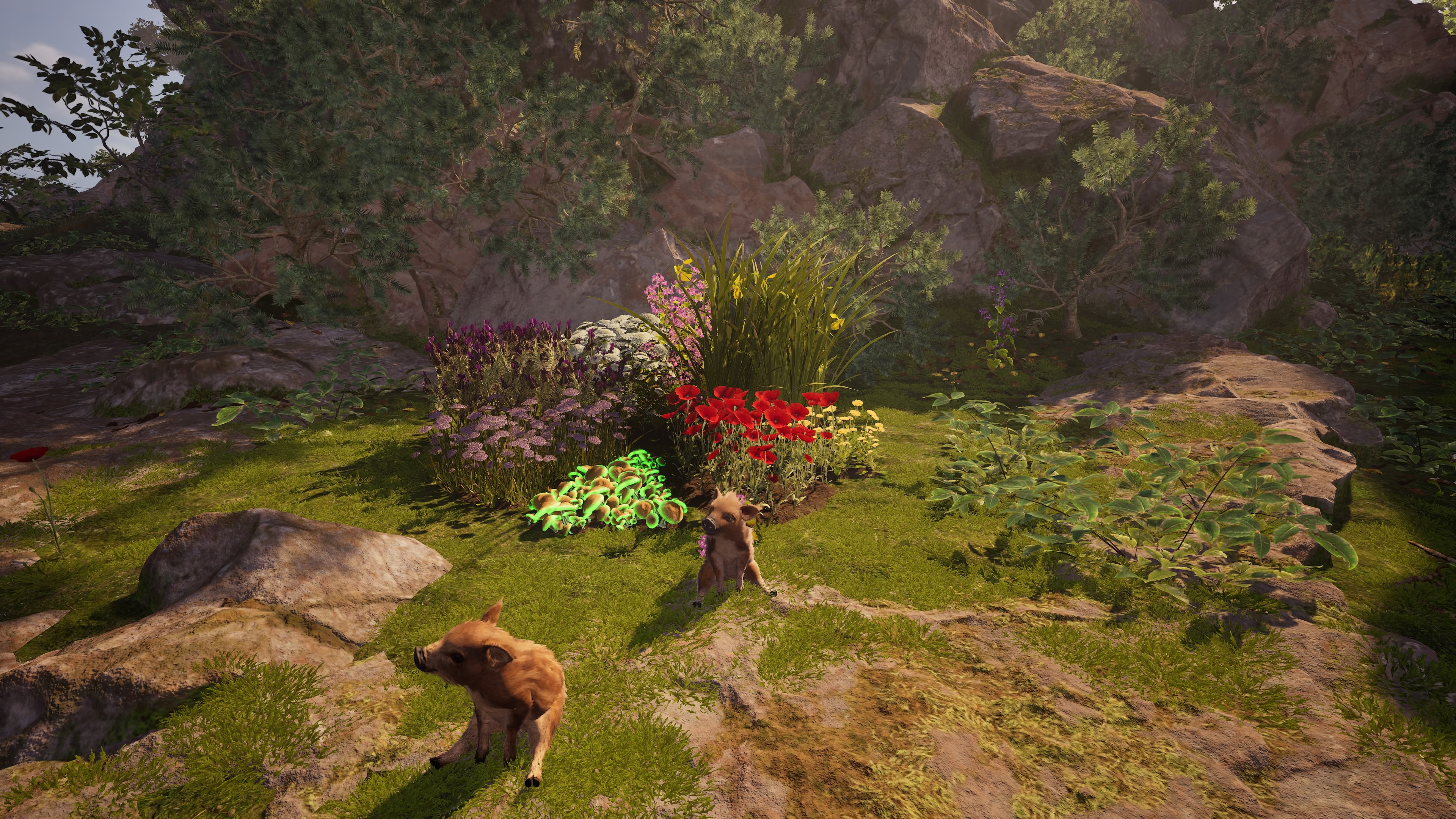 AA_mygarden.jpg